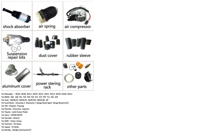 A8d4 Air Shock Absorber for Audi Air Spring Strut 4e0616001 4e0616002